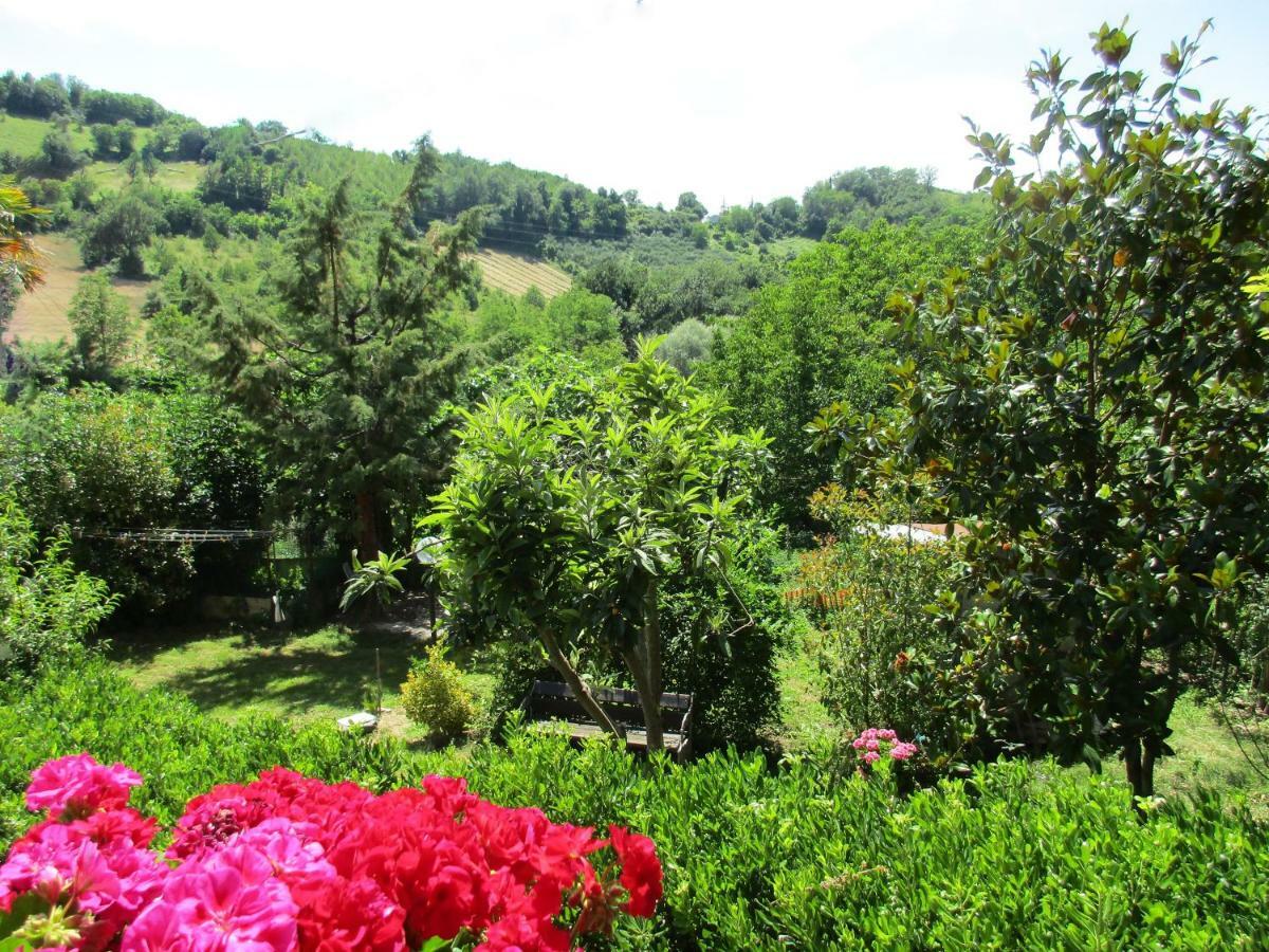 B&B Carboni Penna San Giovanni Eksteriør bilde